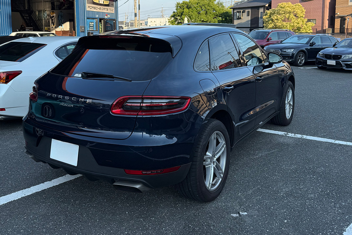Macan