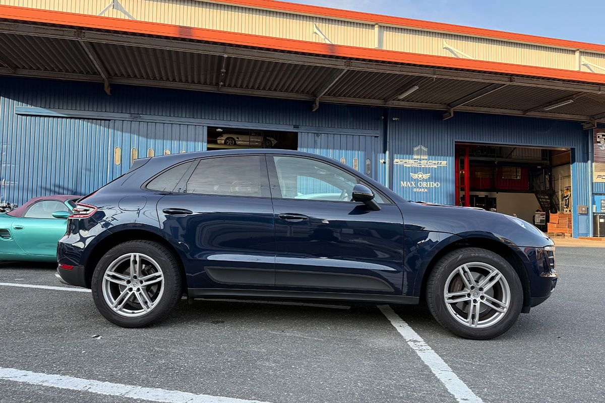 Macan